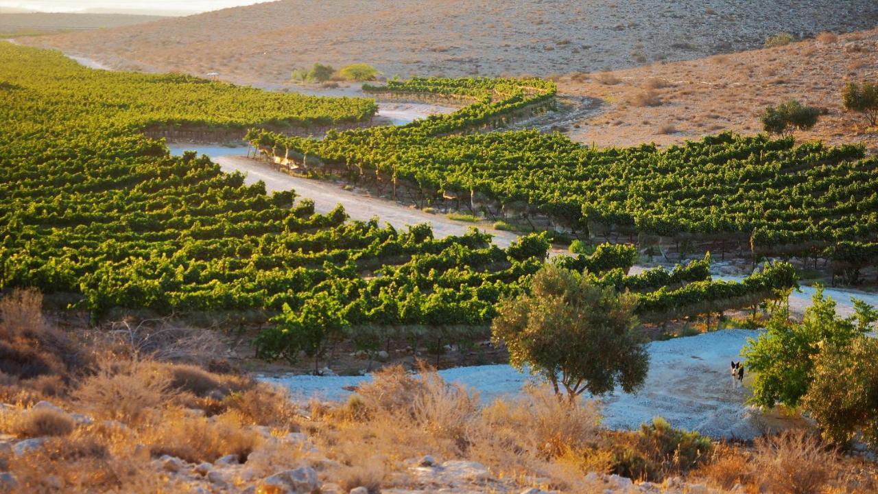 Desert Estate Carmey Avdat Midreshet Ben Gurion Buitenkant foto